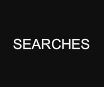 searches